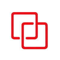 Dual Branding icon